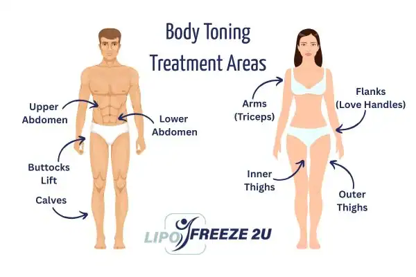 Graphic showing where you can have Body toning Treatment Dorchester on your body